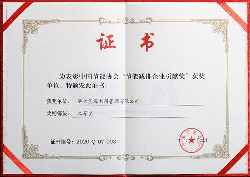 遠(yuǎn)大能源創(chuàng)新突破，新興能源技術(shù)研發(fā)榮膺中國節(jié)能協(xié)會創(chuàng)新獎