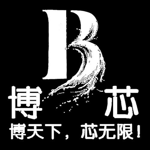 洞察科技脈搏，賦能企業(yè)未來(lái)——山東博芯信息科技信息咨詢(xún)服務(wù)解析